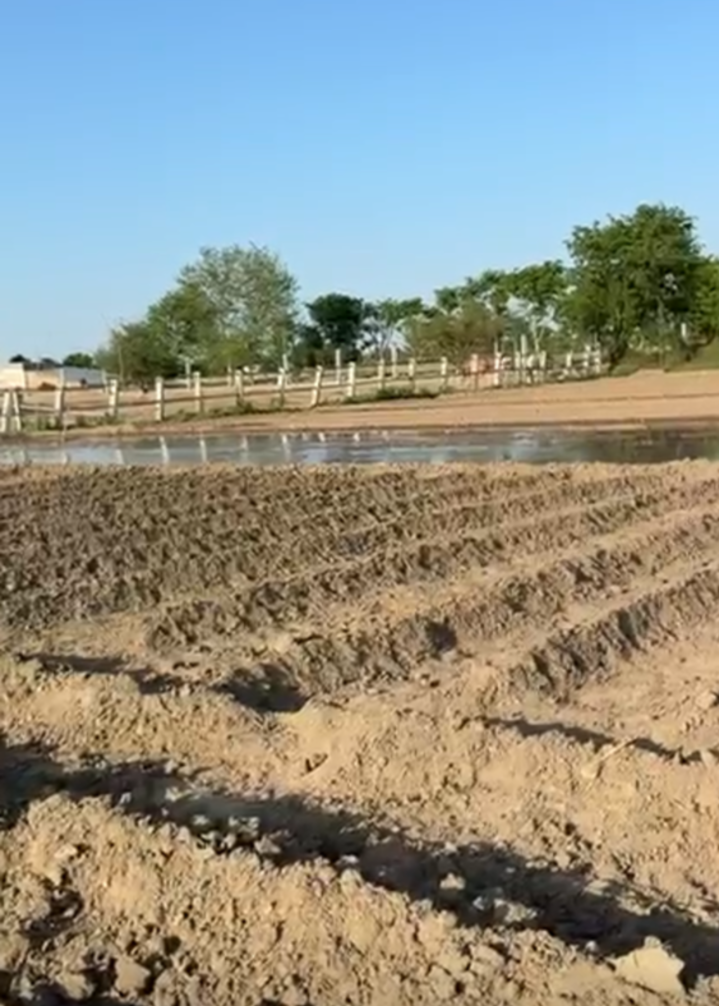 Soil preparation for new plantation at UB Farms, Layyah Pakistan