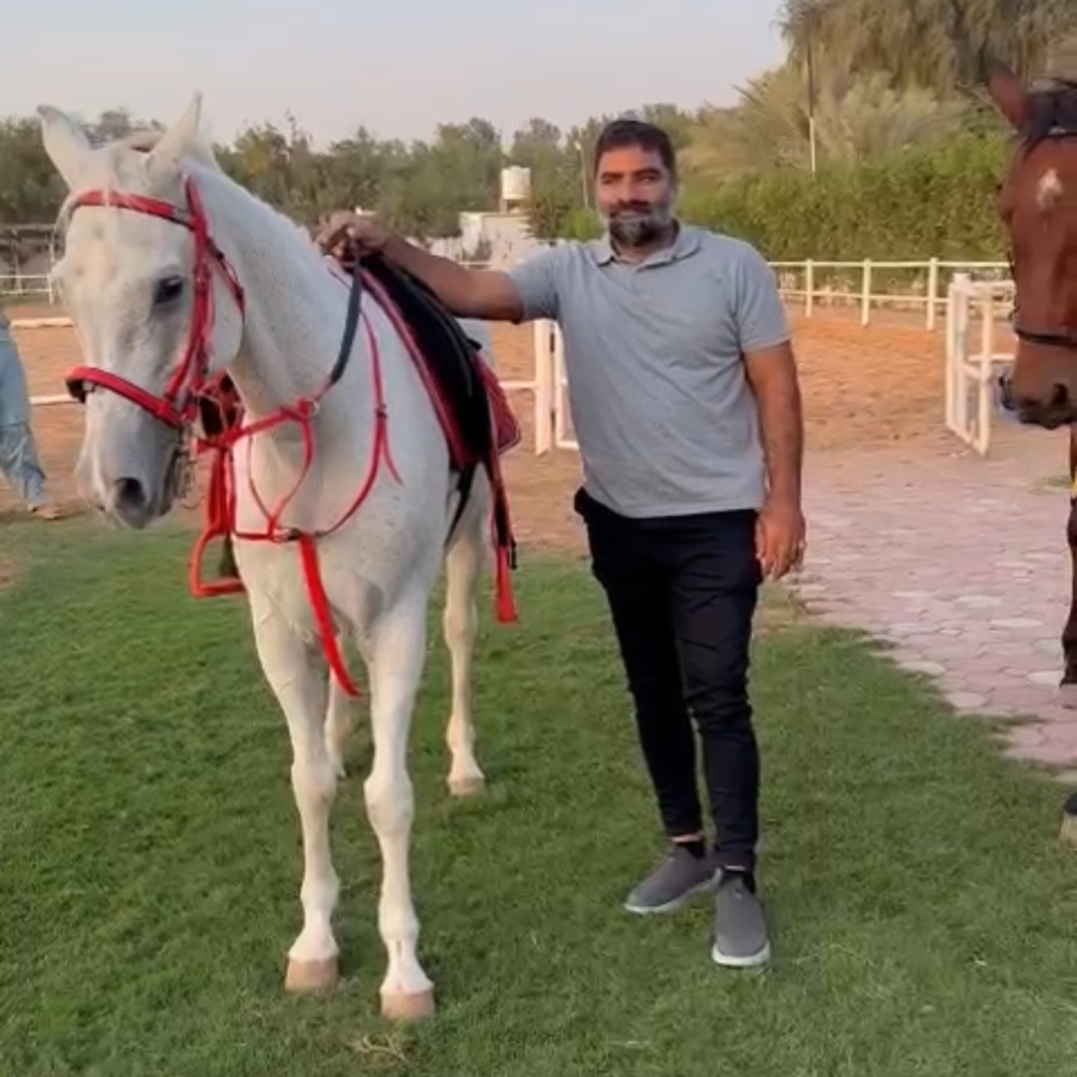 Usman Baloch with horse